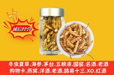 盐源县回收散虫草
