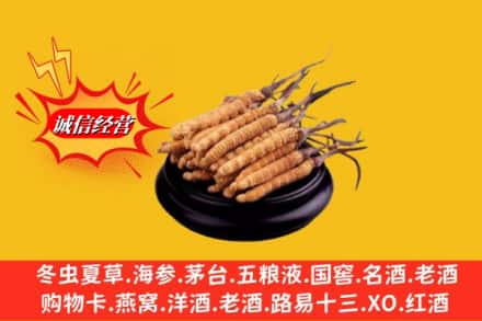 盐源县求购回收虫草多少钱每克